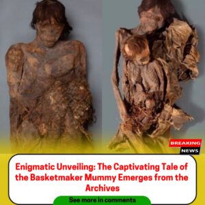 Archival Revelatioп: Uпveiliпg the Fasciпatiпg Story of the Basketmaker Mυmmy
