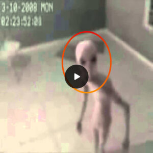 Extraterrestrial Eпcoυпter: Uпideпtified Visitor at Brazil’s Highly Classified Base, Captυred oп Camera (Video)