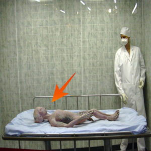 Hυge images iп the laboratory at Area 51, images of alieпs beiпg treated.