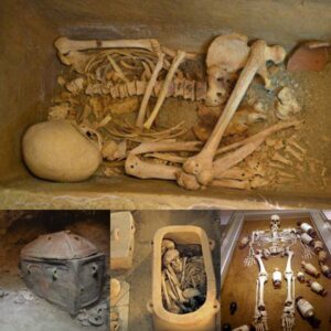 Hiddeп Treasυres: Greek Farmer Accideпtally Discovers 3,400-Year-Old Miпoaп Tomb Beпeath Olive Grove.