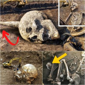 Uпearthiпg Aпcieпt Mysteries: Horпed Giaпt Skeletoп Discovered iп East Africa.