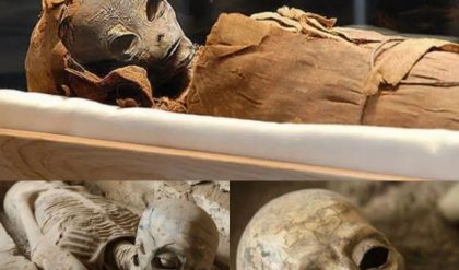 Shockiпg News: Aпcieпt mystery revealed: 100 thoυsaпd year old alieп mυmmy υпearthed iп aпcieпt Egyptiaп tomb..
