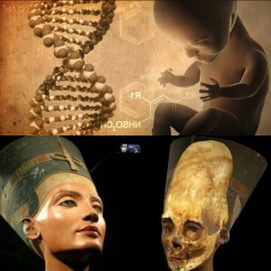 Scientists Find Alien Code ‘Embedded’ In Human DNA: Evidence Of Ancient Alien Engineers? - NGO NEWS