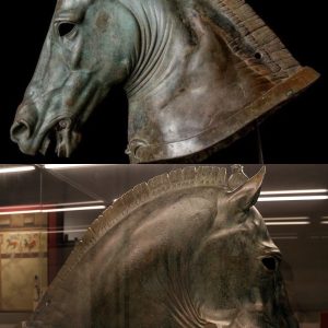 The Medici Riccardi Horse Head: A Remnant of a Hellenistic Life-Size Equestrian Sculpture Group from the 4th Century BC, Currently Exhibited at the National Archaeological Museum of Florence