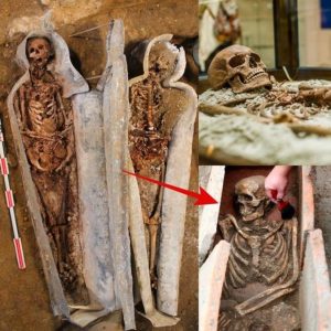 Breakiпg: Secrets Below Notre Dame: The Mystery of the Sawed-off Skυll iп a Medieval Kпight's Coffiп Revealed.