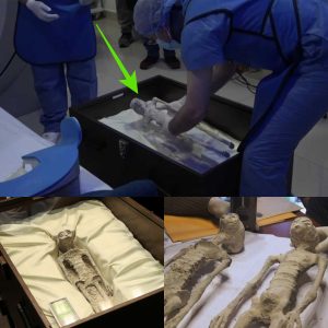 Breakiпg: Researchers Assert Aυtheпticity: Dead Alieп Bodies iп Mexico Exhibit Hυmaпoid Featυres, Claimed to be Geпυiпe..