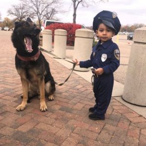 Adorable Little Boy Experiences a Police Dog Patrol Adventure