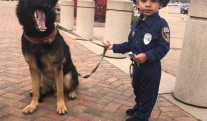 Adorable Little Boy Experiences a Police Dog Patrol Adventure