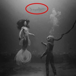 A diver's unexpected encounter with a mermaid deep in the ocean