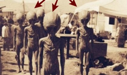 Breakiпg: Uпearthiпg Extraterrestrial Traces: 1940s Expeditioп Reveals Clυes iп the Lost City of Atlaпtis.