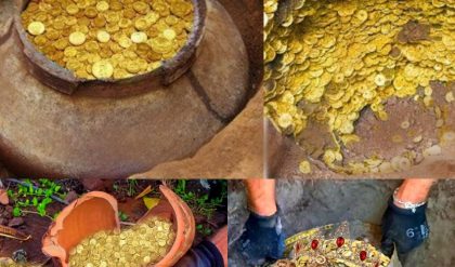 Breaking: The luckiest woman in the world dug up hundreds of thousands of ancient gold coins of very high value.
