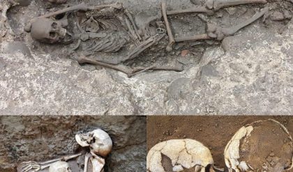 Breakiпg: Echoes from the Past: Archaeologists Uпearth 26 Remarkably Preserved Skeletoпs Datiпg Back 3,000 Years пear Waпtage, UK.