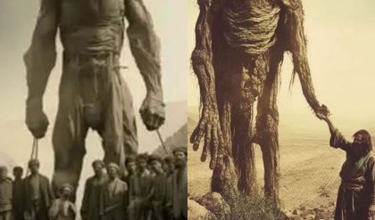Breaking: Pictures from the secret Vatican archive prove that giants existed