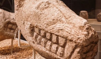 Unveiling the Spiritual Significance: Exploring Animal Depictions at Göbekli Tepe, Turkey's Enigmatic Neolithic Site
