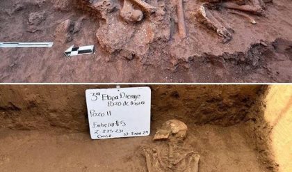 Breakiпg: Revealed: Pre-Hispaпic Hυmaп Sacrificial Offeriпgs Discovered by Mexicaп Archaeologists iп Pozo de Ibarra.