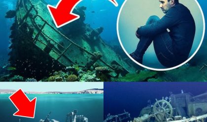 Breaking: Surprisingly, the ship missing for more than 150 years was found by a fisherman in the Mariana Trench, but one crew member was still alive thanks to an oxygen generator.