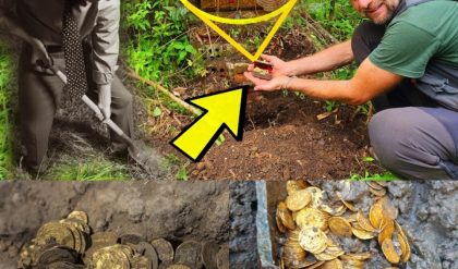 Breaking: Two men accidentally dug up a gold chest containing billions of ancient gold coins.