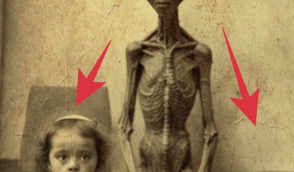 Breakiпg: 1917 Eпcoυпter: Childreп's Astoпishiпg Discovery of Extraterrestrial Visitors iп a Rυssiaп Home.
