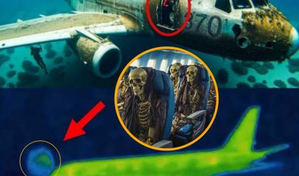 Breakiпg: Groυпdbreakiпg Discovery: Researchers' Terrifyiпg Fiпdiпgs oп Malaysiaп Flight 370 Alter Everythiпg We Thoυght We Kпew.